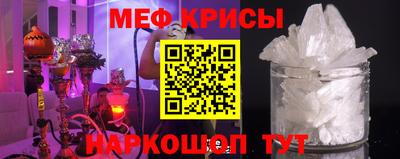 стаф Владимир