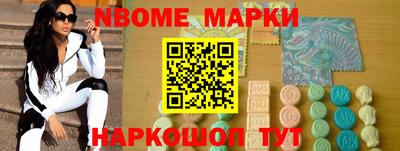 стаф Владимир