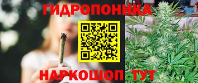 стаф Владимир