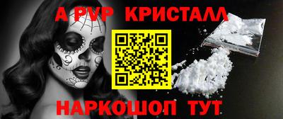 стаф Владимир