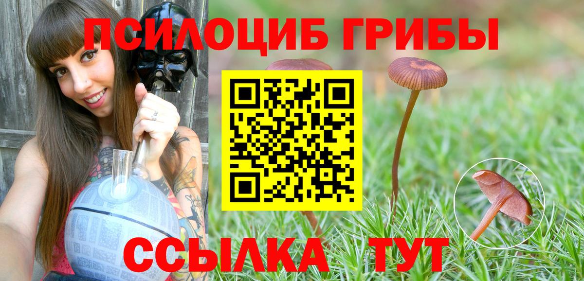 Выборг  Галлюциногенные грибы мицелий  Вход с VPN 